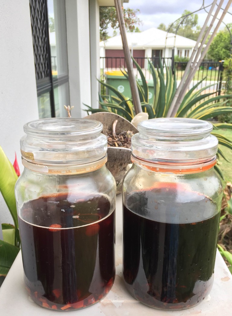 Dyeing with Avocados — All Natural Dyeing